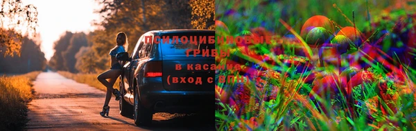 ECSTASY Белоозёрский